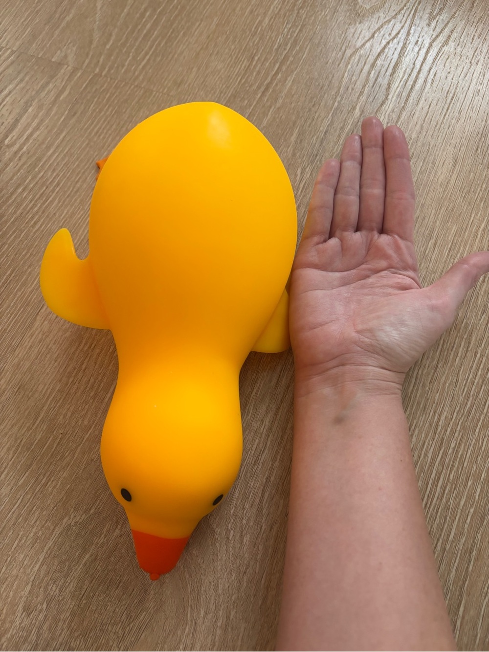 Duck squishy - Picture 4 of 4